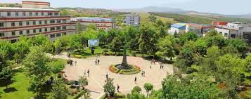 Explore Our Top Faculties 4